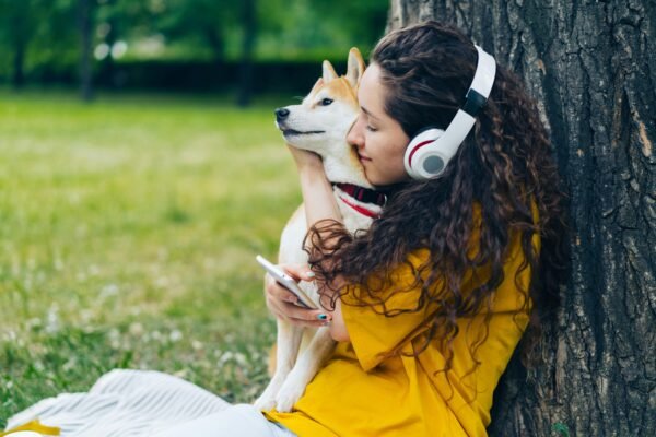 Upgrade Your Pet’s Crate with Orthopedic Bedding