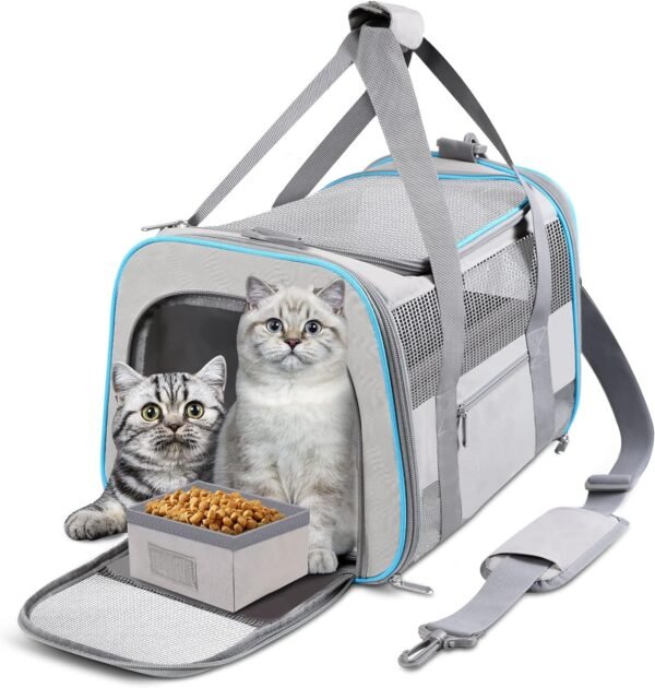 Large Cat Carrier Review