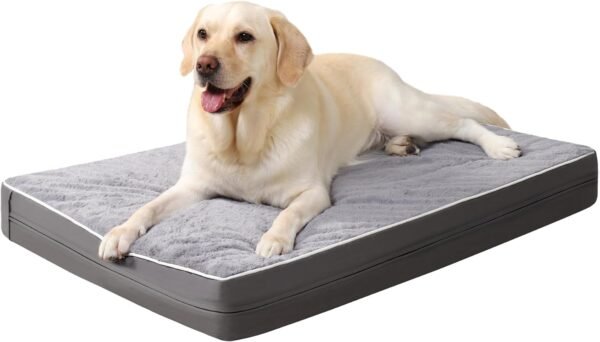 Minky Orthopedic Dog Bed Review