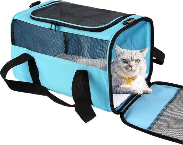 IONRIVER Cat Carriers Soft-Sided Carrier Review