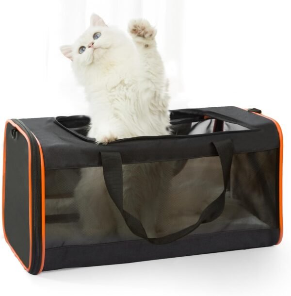 Pet Carrier Soft-Sided Review