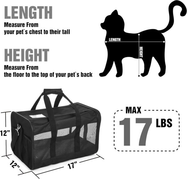 Pet Travel Carrier Review